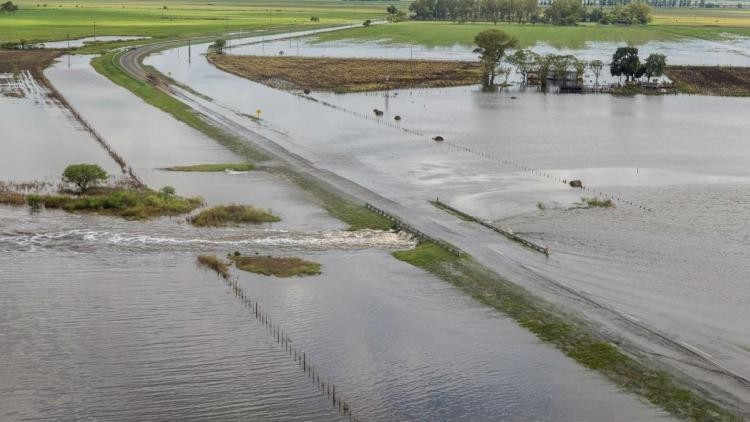 Peligran 2,2 millones de hectáreas con soja