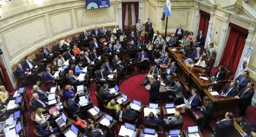 El Senado abrirá a mediados de enero la discusión de jubilaciones especiales, alquileres y góndolas