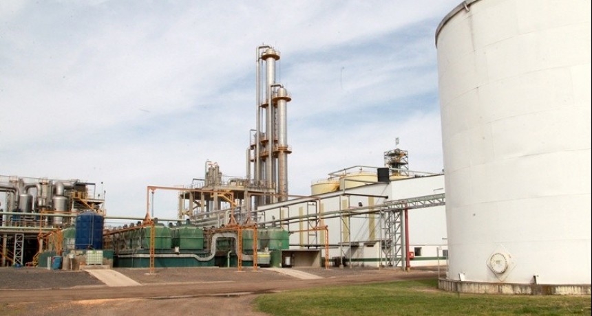 Biocombustibles: las provincias quieren hablar con Kulfas