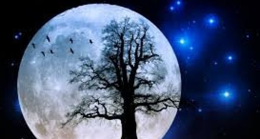 La luna y todas las fases, eclipses y signos