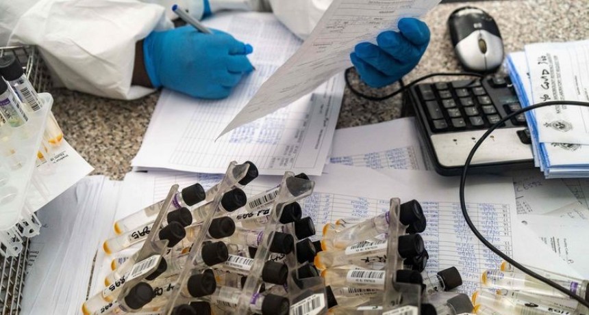 Argentina registró 8.362 nuevos casos de coronavirus