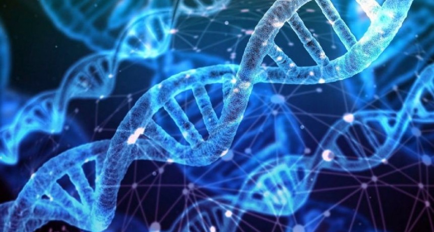 Francia detectó la Camerún, otra variante de Ómicron