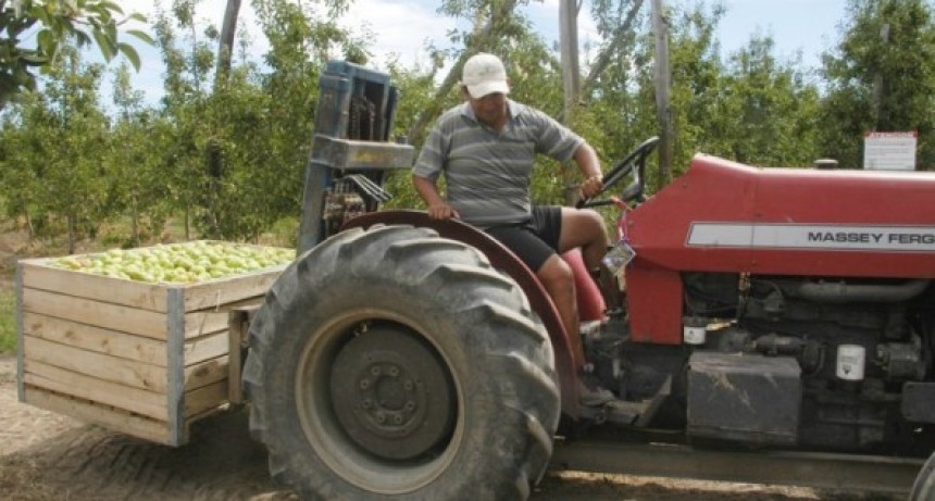 Suspende Brasil importaciones de pera y manzana