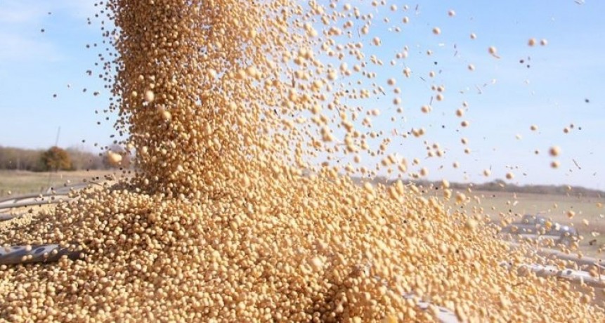 Los productores en estado de alerta ante el riesgo político
