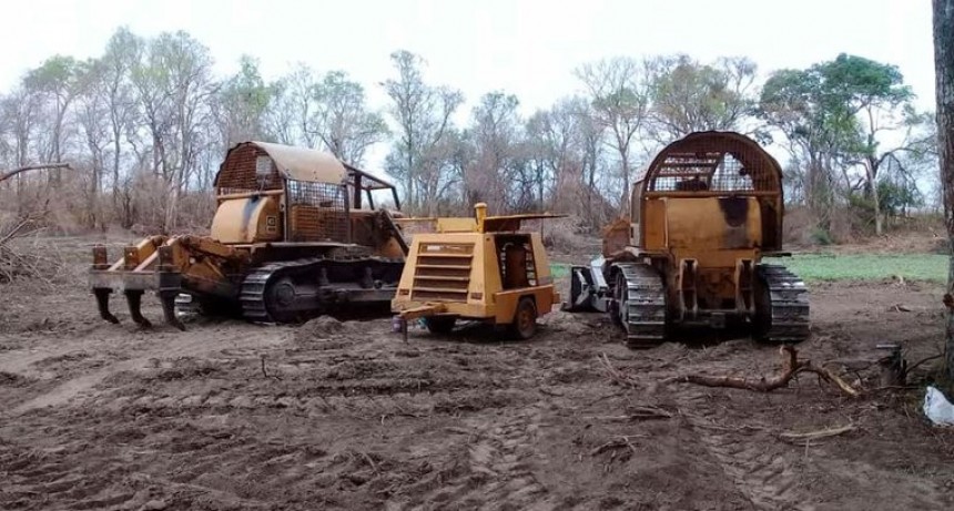 Greenpeace informó que se deforestaron más de 110 mil hectáreas en el norte argentino