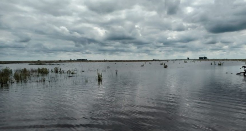 El partido de Villegas quedó con el 40% de sus campos bajo el agua