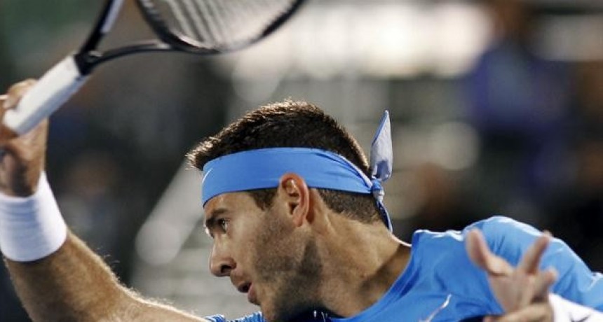 Juan Martín Del Potro se bajó del Rio Open  
