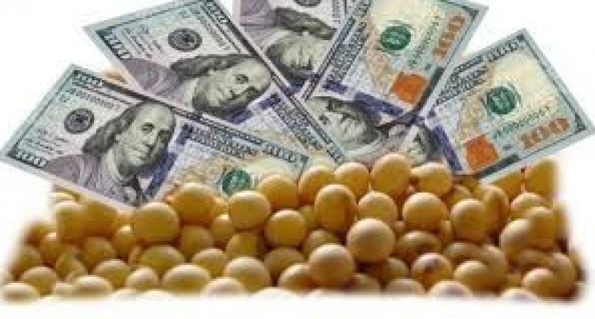  La soja ya roza los USD 600