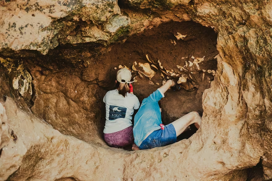 Encontraron los fósiles de osos perezosos gigantes