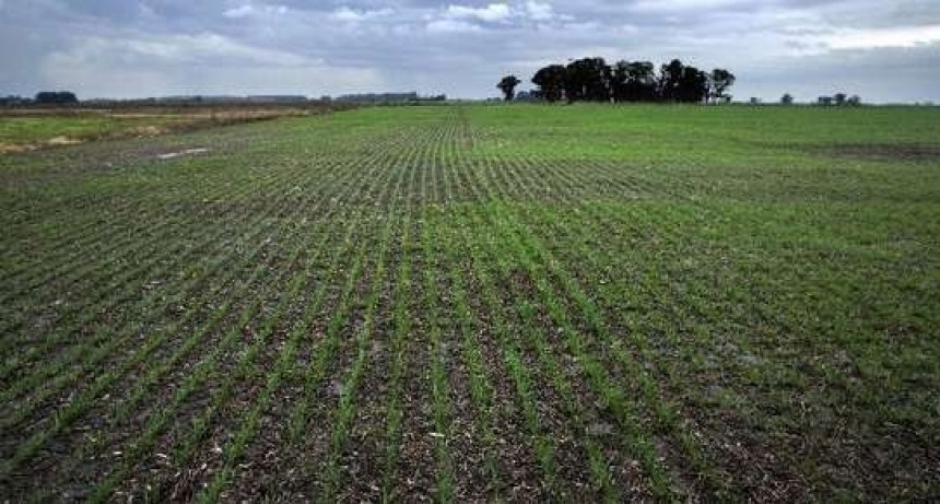 Las retenciones al campo concluyen en el 2020