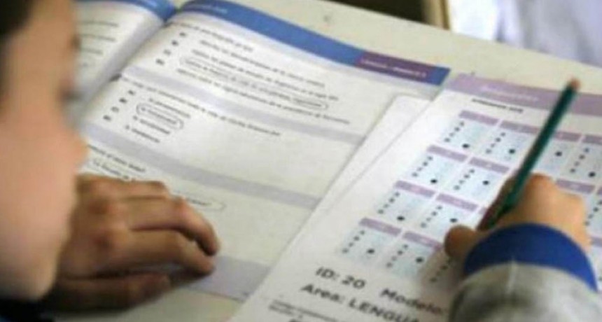 El operativo Aprender obtuvo un desempeño satisfactorio