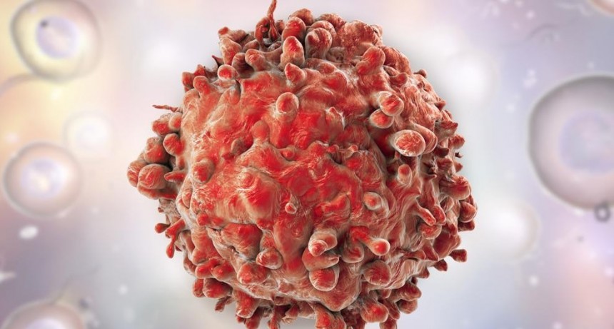 El cáncer podrá ser curado con nuevo fármaco