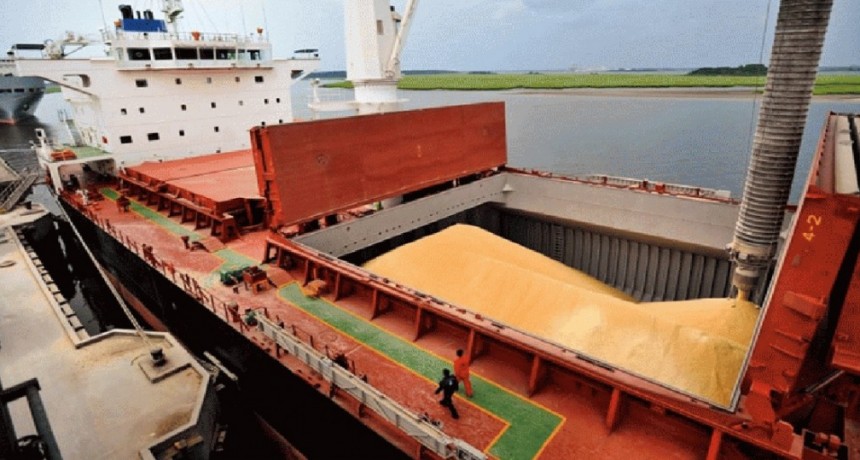  Las exportaciones del agro ingresa US$ 815 millones en febrero