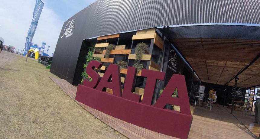 Expoagro 2020: La provincia exhibe los circuitos productivos