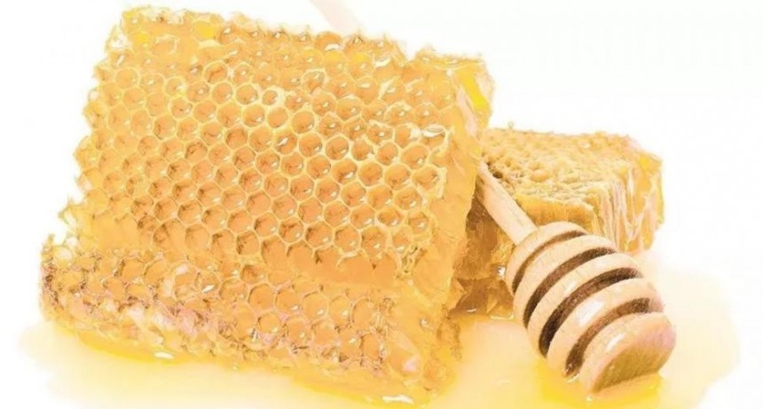 Productores apícola busca la genética para ganar mercados