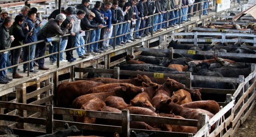 No habrá desabastecimiento de carne durante la cuarentena