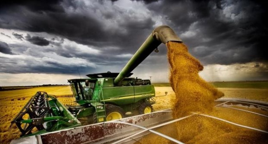 El precio del trigo sube por segunda semana consecutiva en Estados Unidos