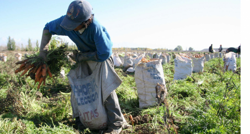 Los cierres de fronteras por el coronavirus amenazan las cosechas 