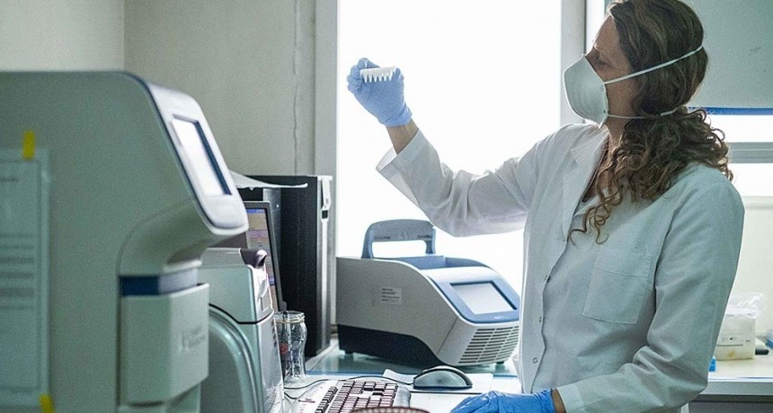 Salta informa 132 nuevos casos de coronavirus