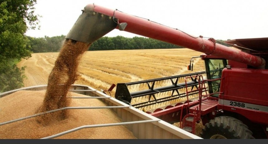La Bolsa de Cereales redujo estimación de cosecha de soja a 44 millones de toneladas