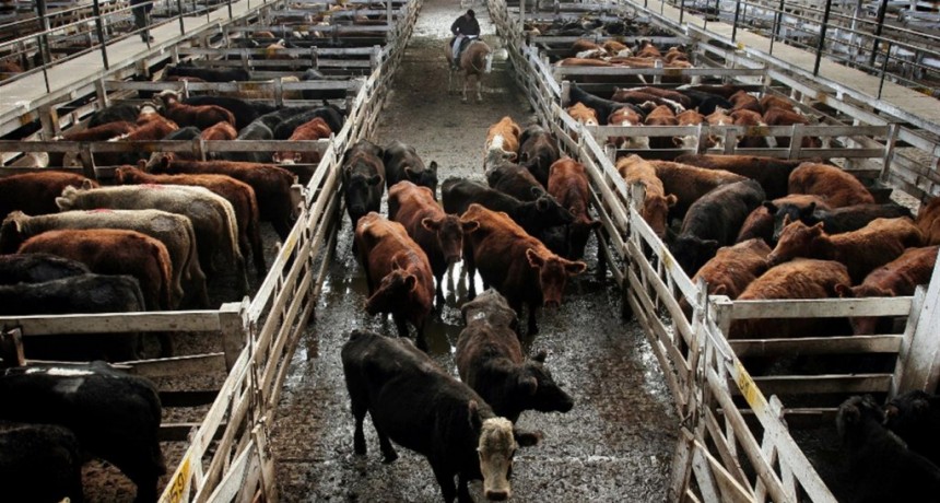 El Mercado de Liniers cerró en baja 