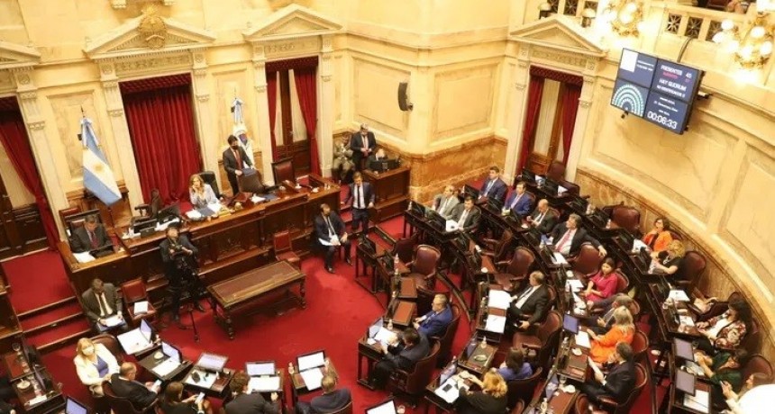 El Senado respaldó el acuerdo con el FMI sin la presencia de Cristina Fernandez 