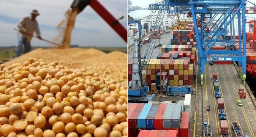 El Gobierno reabrió las exportaciones de harina y aceite de soja