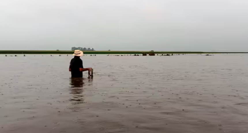 En el sur de Santa Fe diluvio