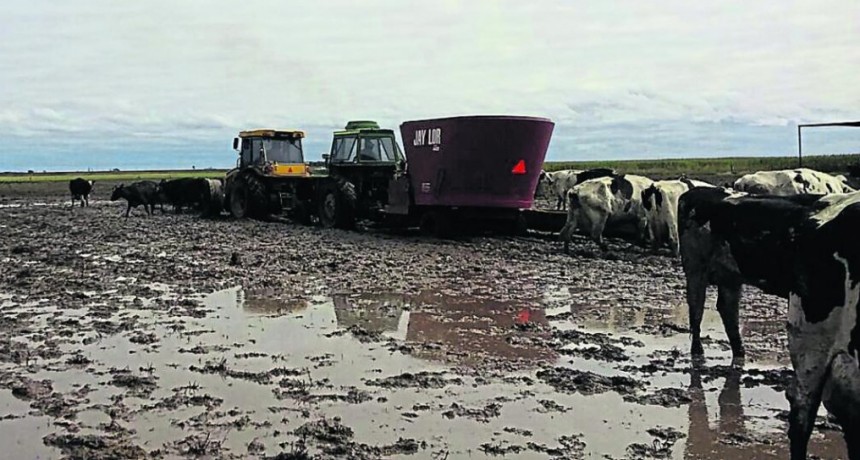 Los tambos llevan días de complicaciones 