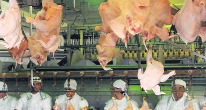 El pollo repunto y mermo el consumo de carne vacuna