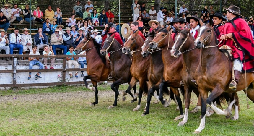 Concurso Nacional de Caballos Peruanos de Paso