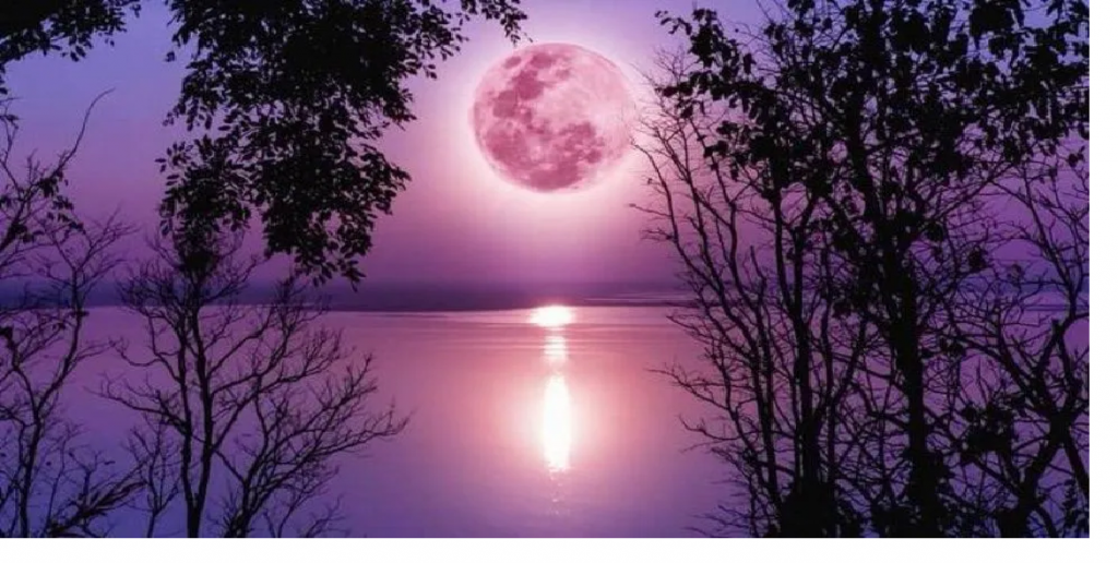 La superluna rosa se la vio en todo el mundo