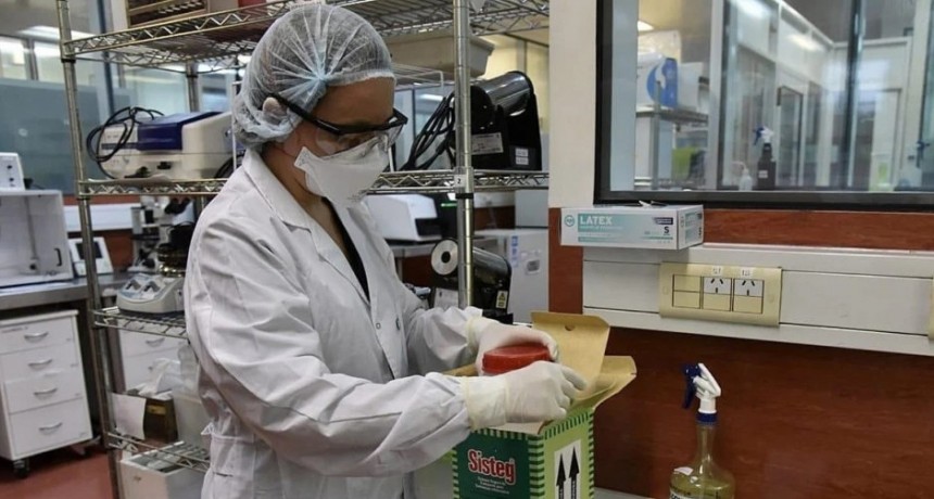 Médicos del Malbrán descifraron el genoma del Covid-19 local