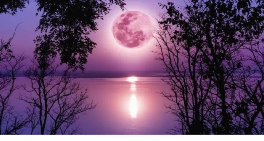 La superluna rosa se la vio en todo el mundo