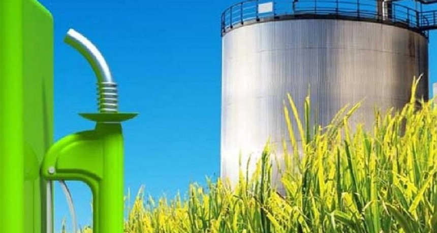 Biocombustibles: fuerte rechazo de 11 entidades a un proyecto del kirchnerismo