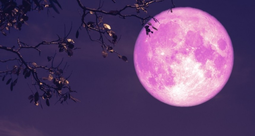 La  belleza de la Superluna rosa del 2021 