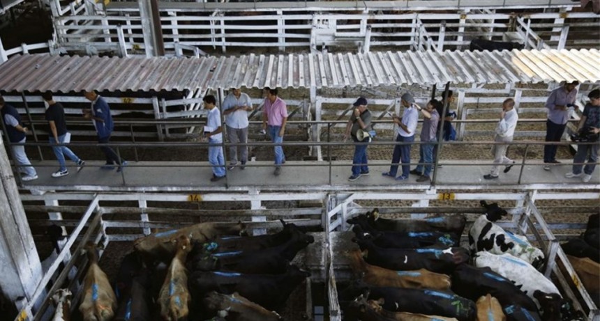 El Mercado de Liniers cerró el precio del novillo en alza