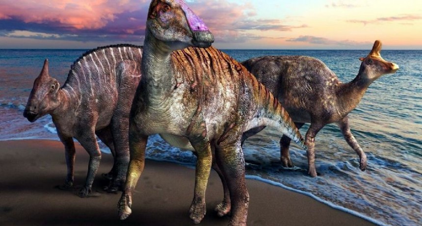 Reconocen un nuevo dinosaurio pico de pato 