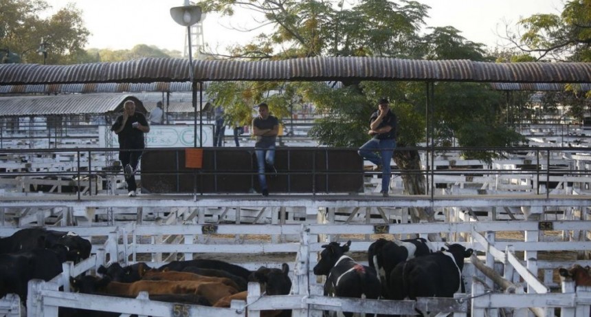 El Mercado de Liniers cerro con leve baja del 0,78%