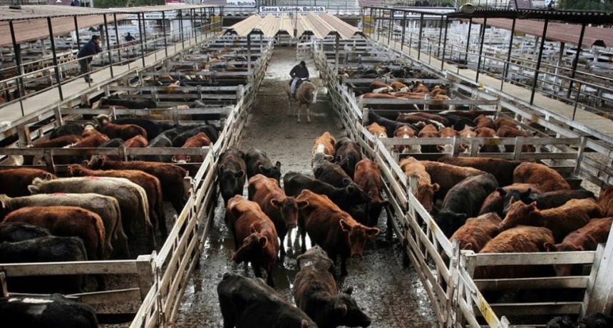 El Mercado de Liniers cerro con una suba del 4,05% en el índice general 