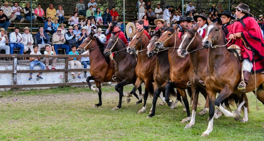 Los caballos peruanos salteños distinguidos en la Rural