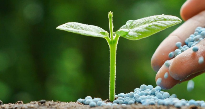 El aumento en la tasa de importación encarecerán fertilizantes y agroquímicos 