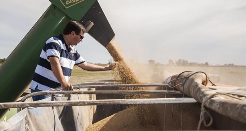 Luis Etchevehere dijo que no habrá cambios en exportaciones