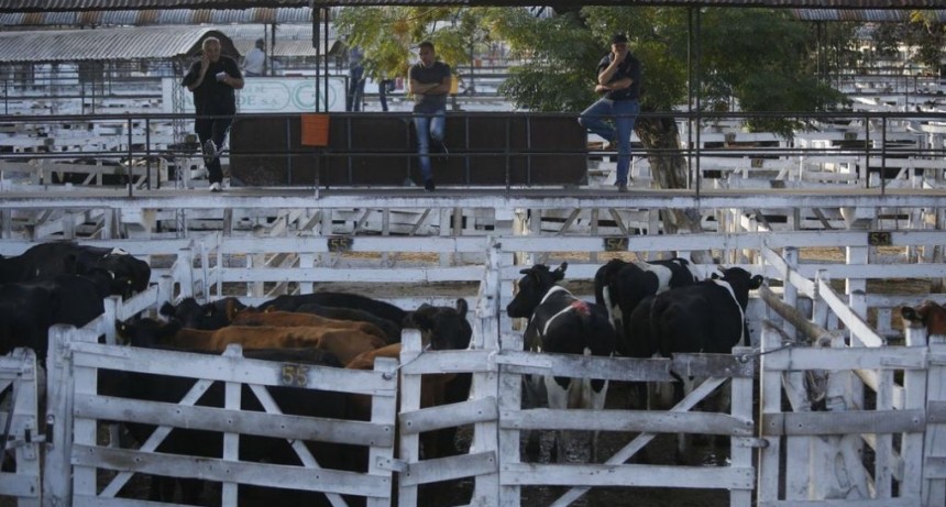 El Mercado de Liniers superó los volúmenes usuales