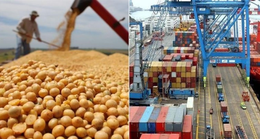 La cosecha pierde US$ 3.000 millones 