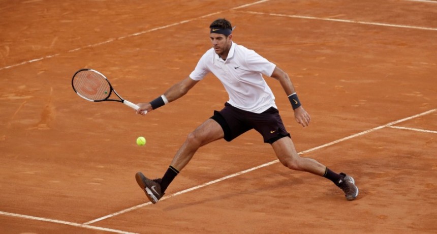 Delpo le ganó a David Goffin Delpo le ganó a David Goffin