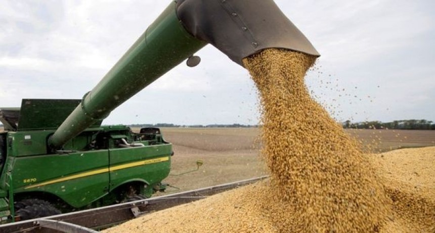 El Gobierno eliminó la tasa a importaciones