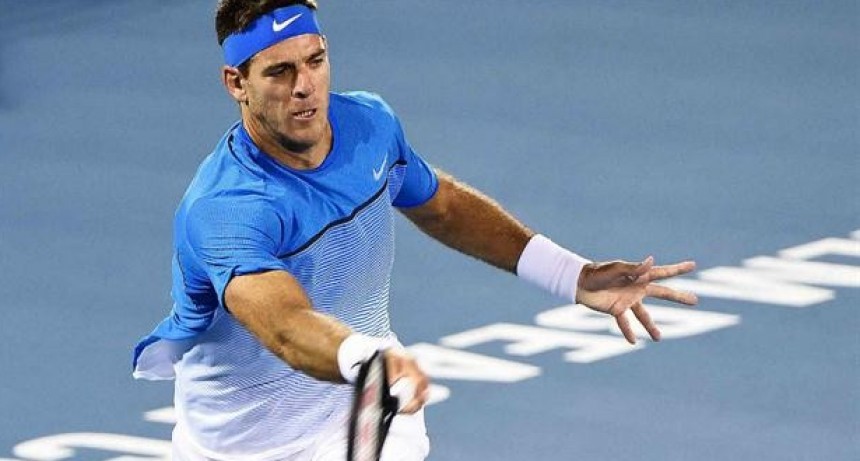 Juan Martín del Potro igualó el partido con Nishioka