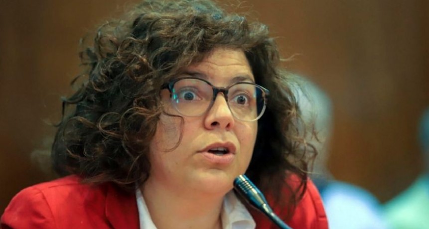 La ministra Vizzotti llega hoy a salta