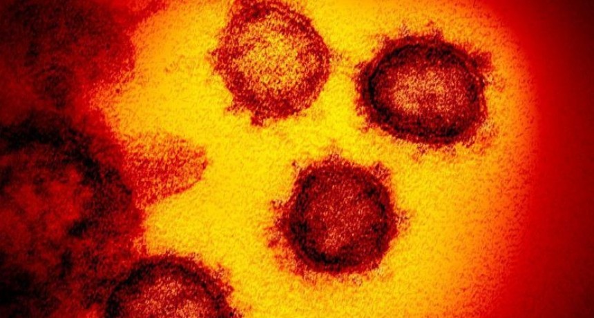 Científicos suizos descubrieron el 'Talón de Aquiles' del coronavirus